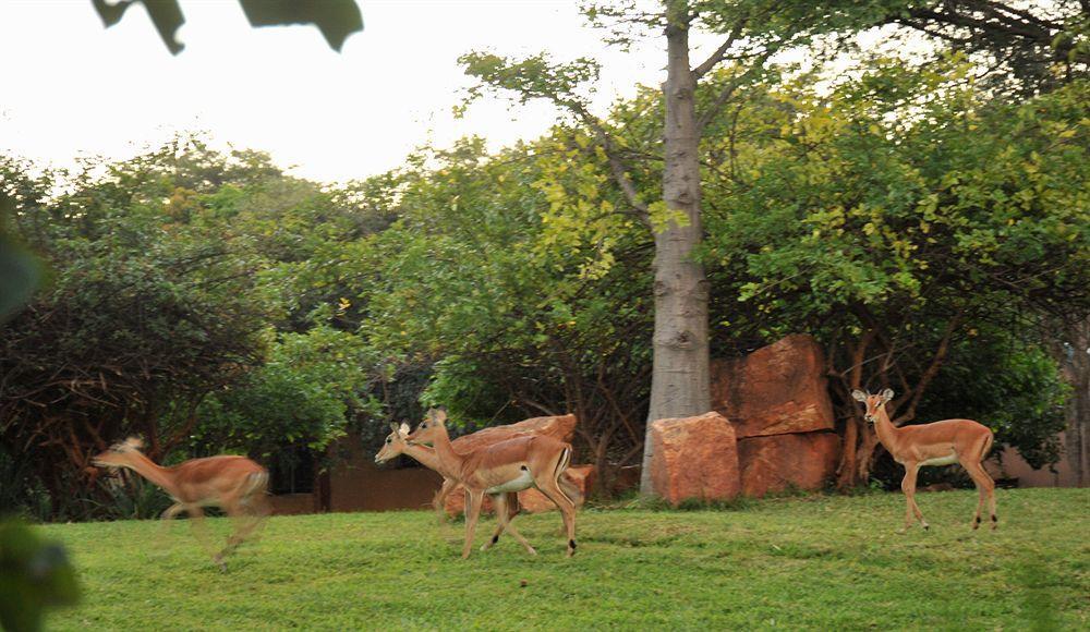M'Kango Golfview Hotel Lusaka Buitenkant foto